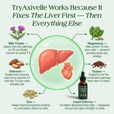 TryAxivelle Thyroid Balance with 100 mg milk thistle extract
