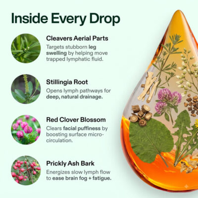 Lymphaire Lymphatic Drainage Drops