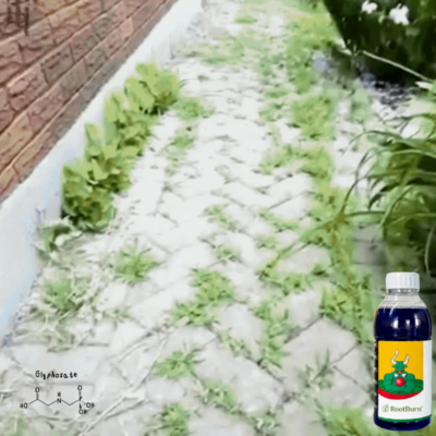 RootBurn™ weed-control spray for lawns
