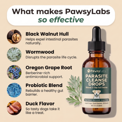 PawsyLabs™ dog cleanse drops with Black Walnut Hull and Wormwood Root